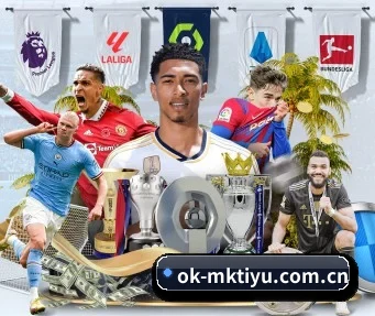 mk体育全站 APP(MK Sports)